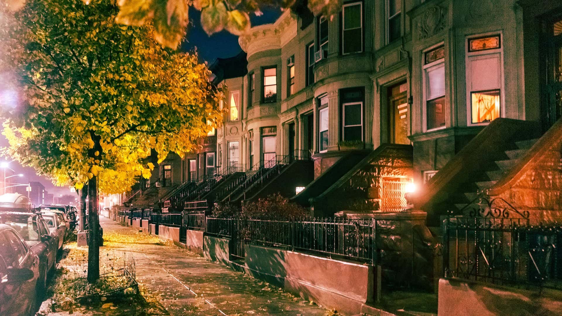 Visiting Brooklyn – A local perspective
